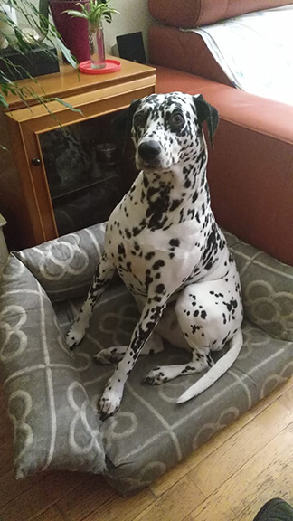 Frida