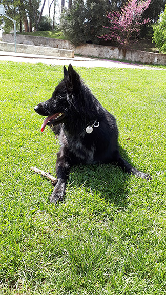 Lua
