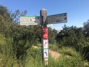 tn_12---caminata-collserola.jpeg